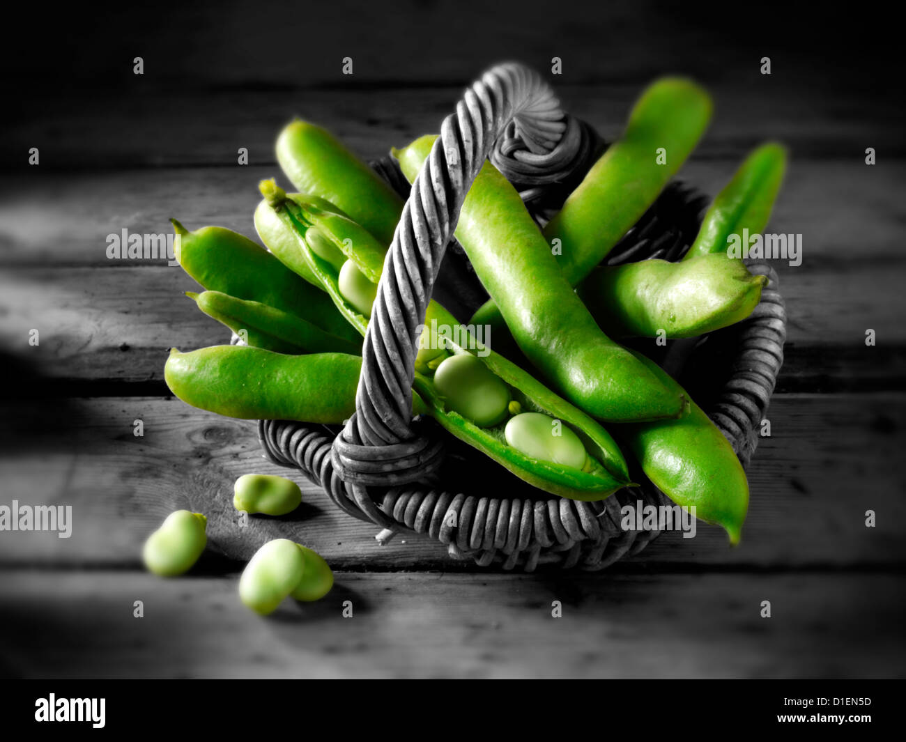Fresh broad beans in the pod Stock Photo