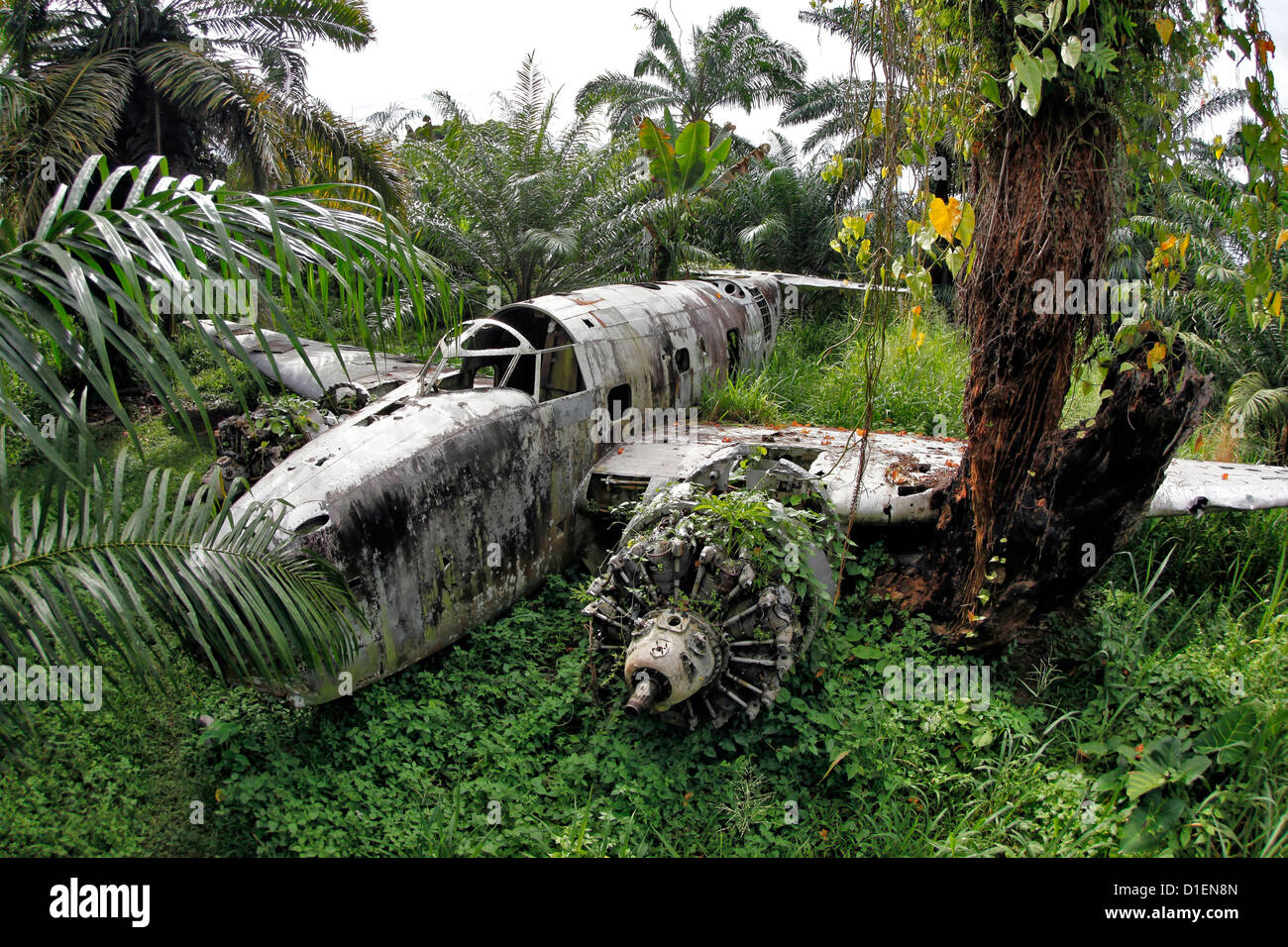 New Zealand plane wreck from the second world war near Walindi Resort, Papua New Guinea Stock Photo