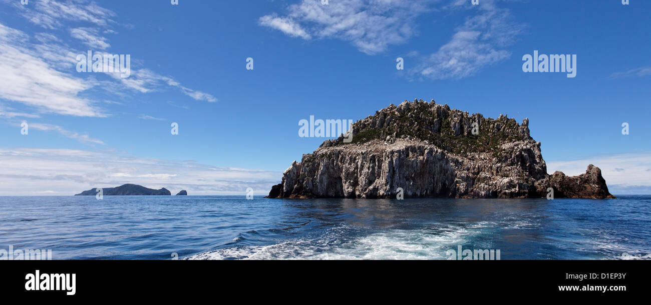 Pinnacle of the Poor Knights Island, North Island, New Zealand Stock Photo