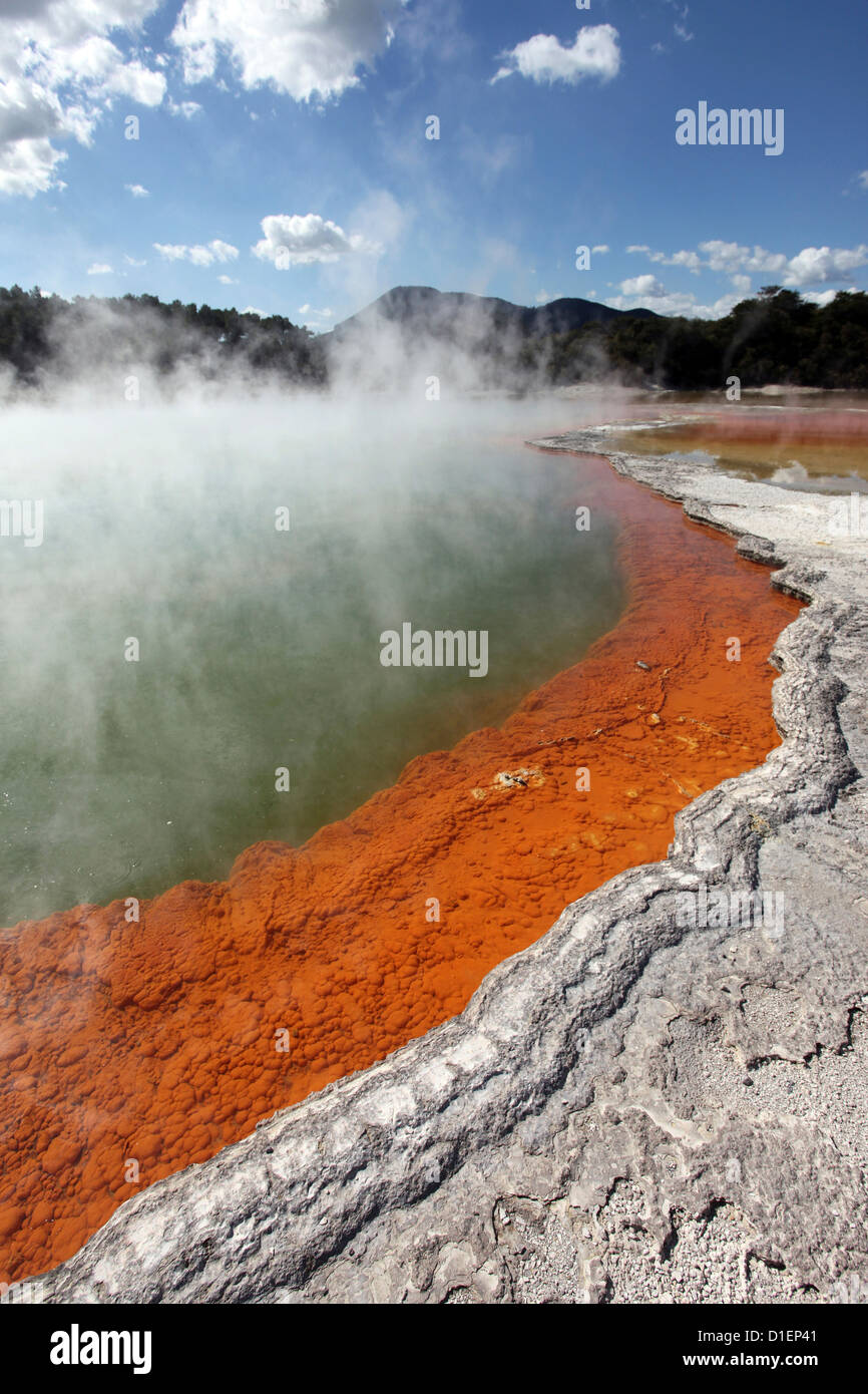 Geothermal park Rotorua, North Island, New Zealand Stock Photo