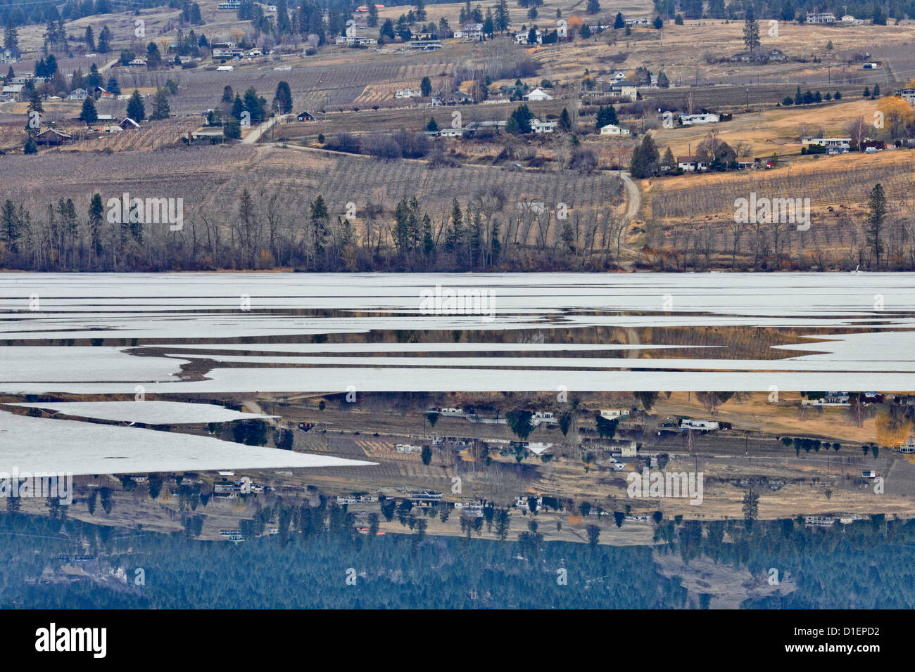 Reflections in Wood Lake, with melting ice at spring break-up, Vernon, British Columbia BC, Canada Stock Photo