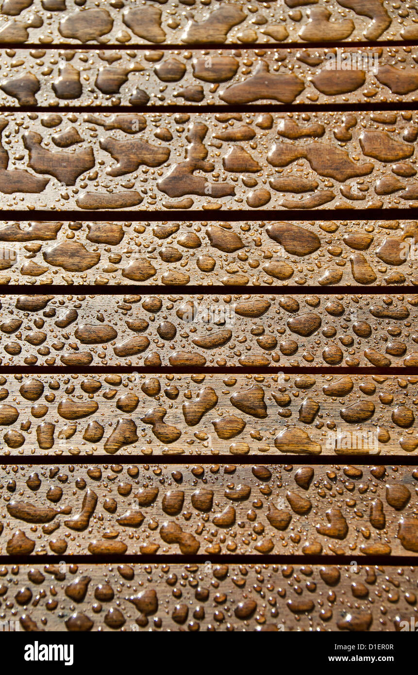 Rain drops on teakwood Stock Photo