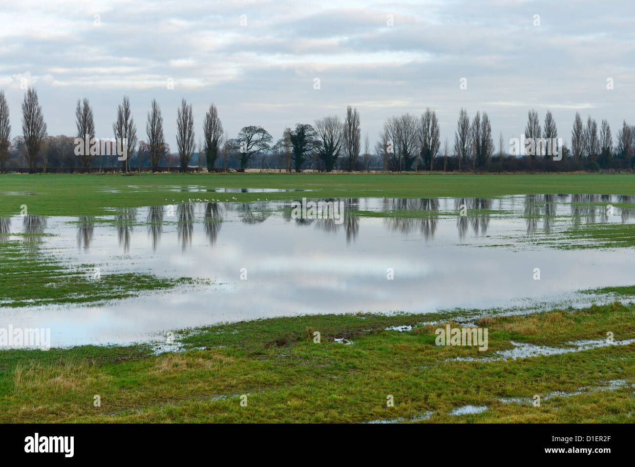 A flooded farmers field in North Wales UK Stock Photo