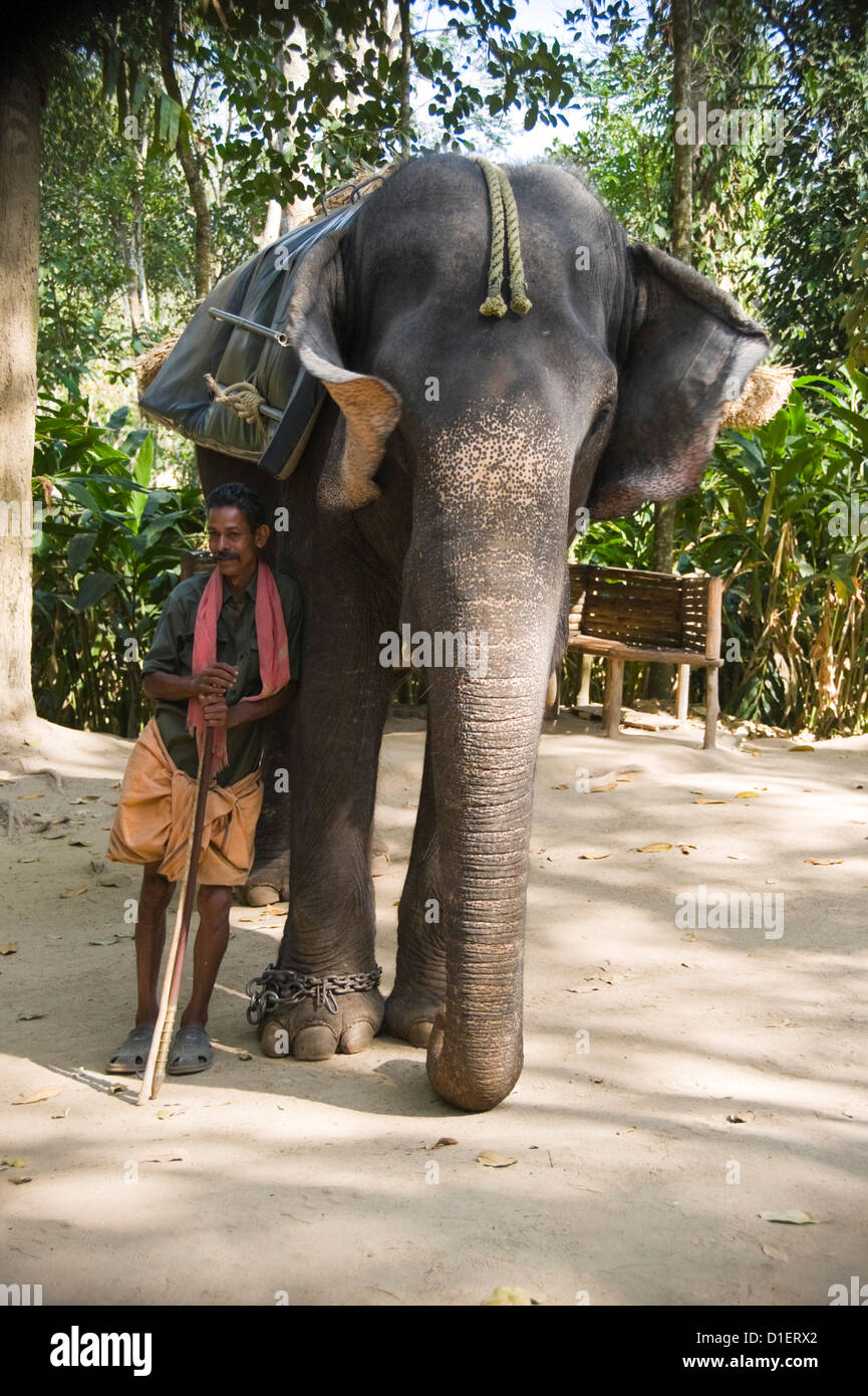 Man standing on indian elephant hi-res stock photography and images - Alamy