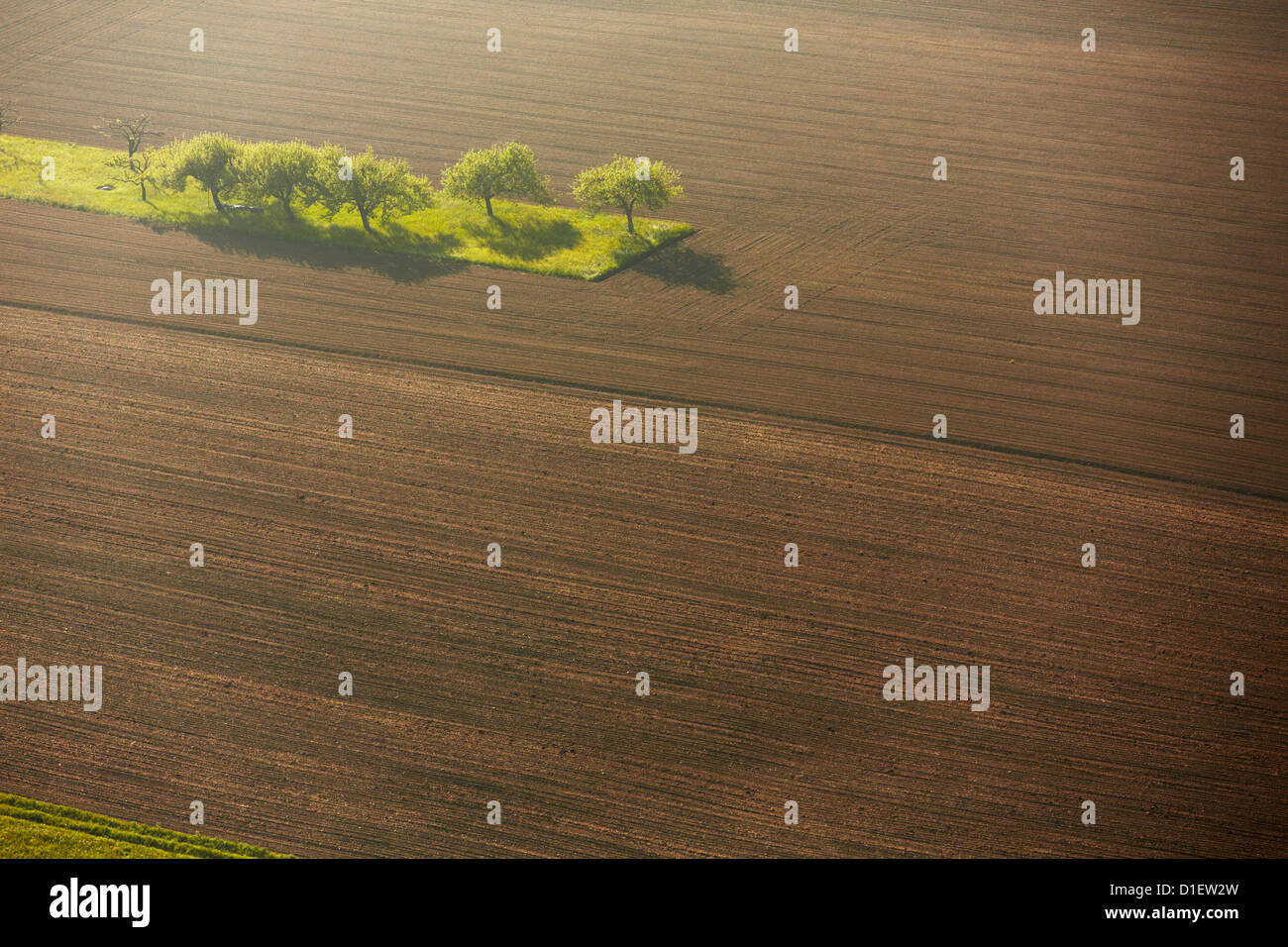 Plowed field with green area, aerial photo Stock Photo