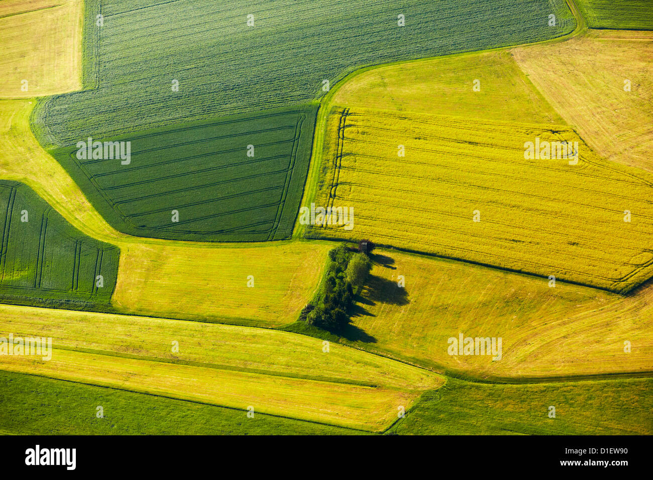 Fields, meadows and group of trees, aerial photo Stock Photo