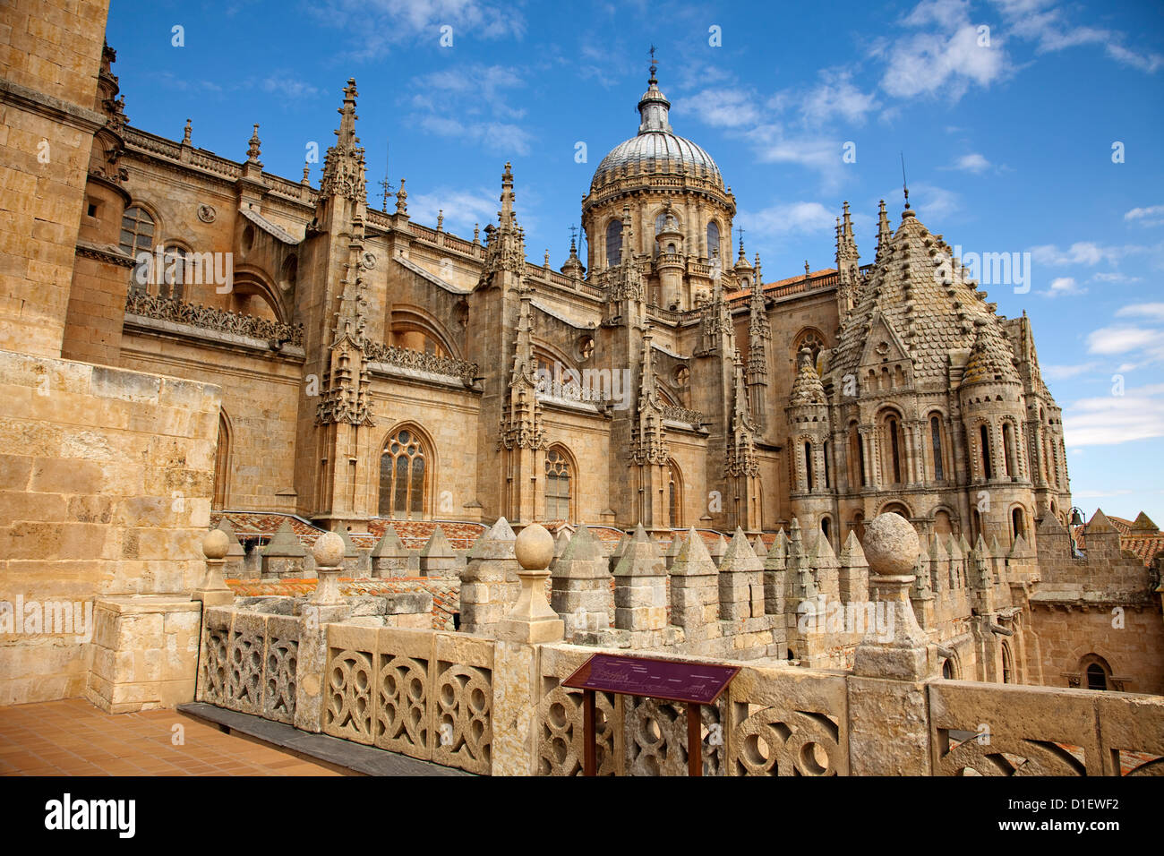 Old Cathedral Salamanca Castilla Leon Spain Stock Photo