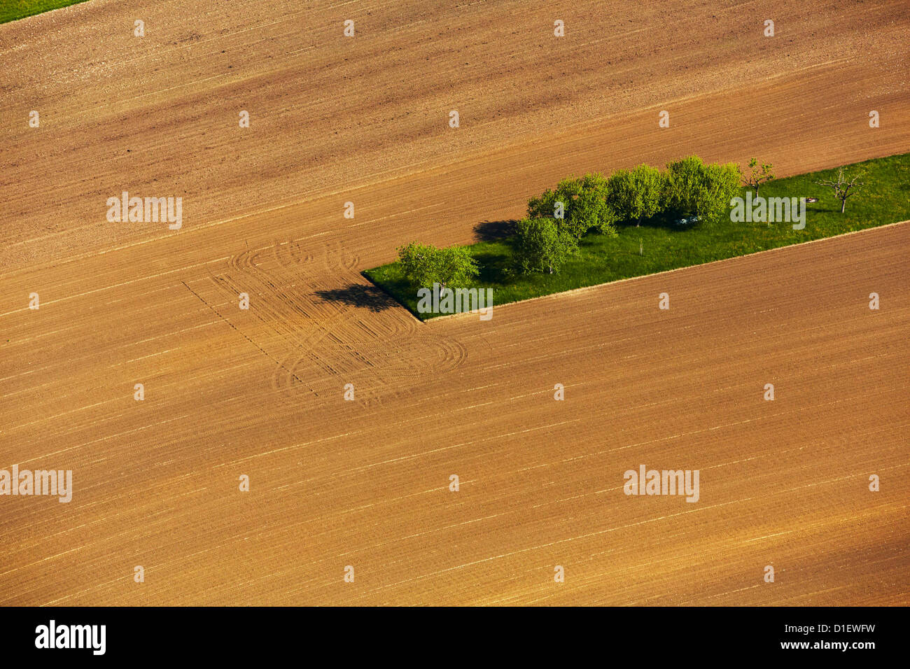 Plowed field with green area, aerial photo Stock Photo
