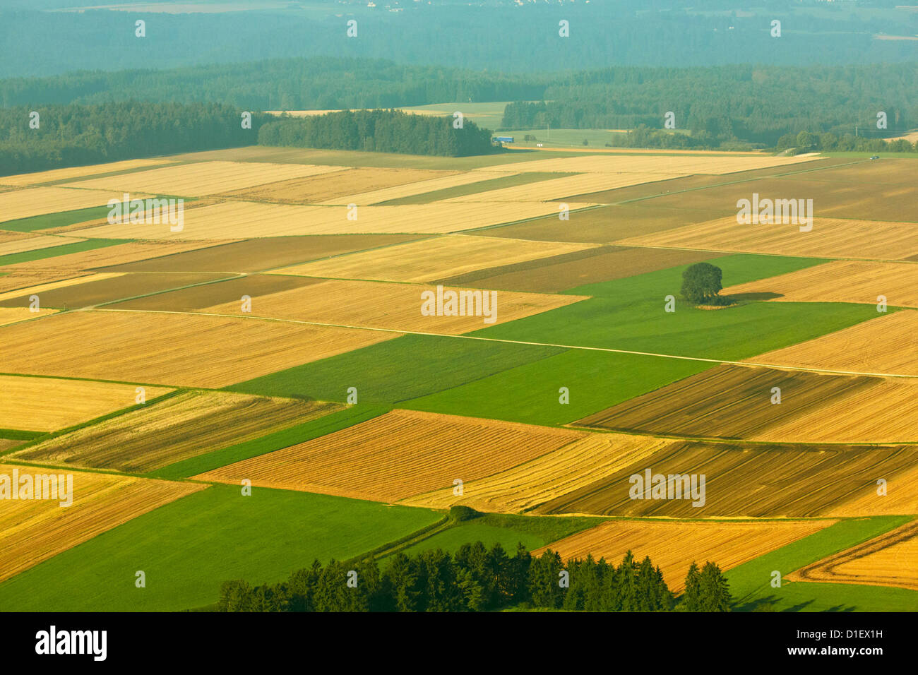 Field landscape in Upper Swabia,  Baden-Wuerttemberg, Germanyaerial photo Stock Photo