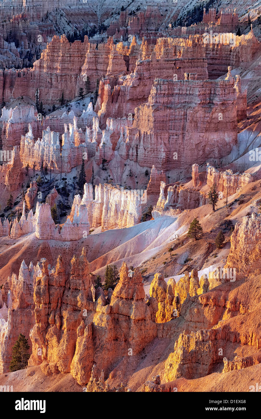 Reflective first light illuminates the amphitheater of hoodoos in Utah