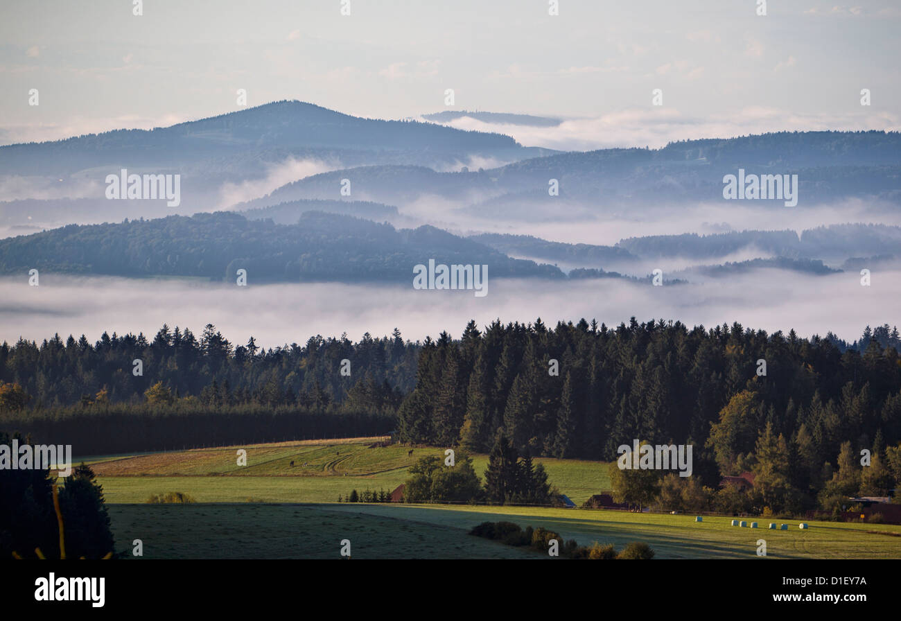 Fog above the forest hi-res stock photography and images - Alamy