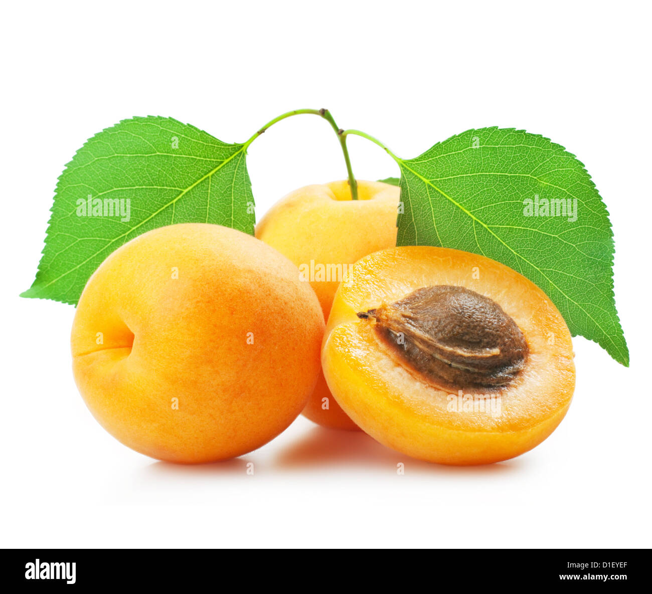 Apricots with leaves on a white background Stock Photo - Alamy