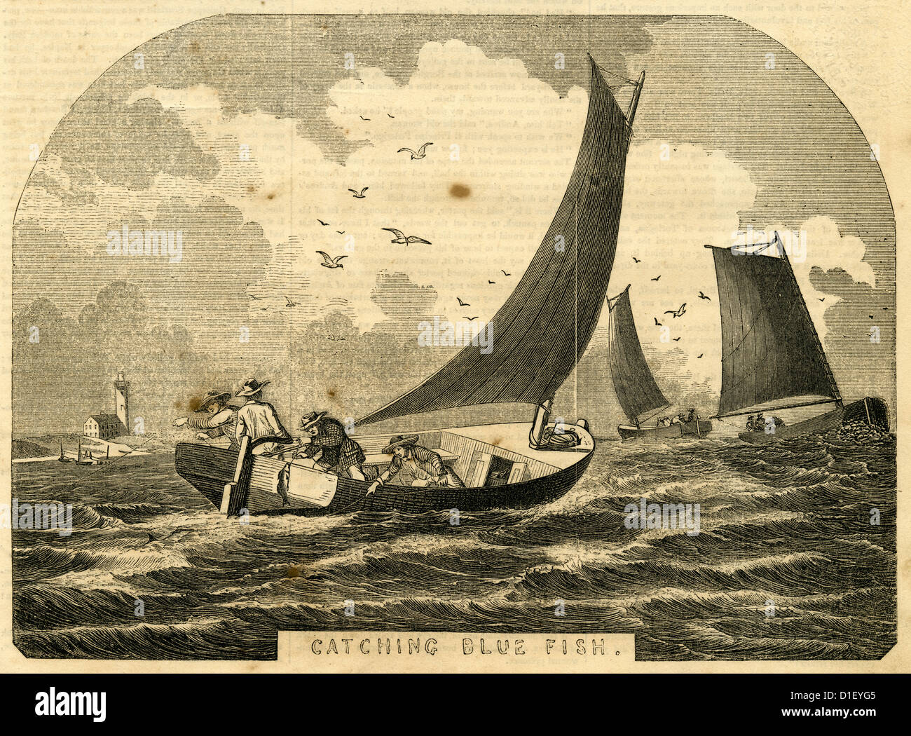 1854 engraving, Catching Bluefish. Stock Photo