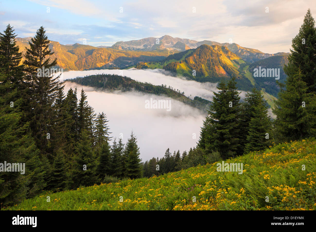Sunrise above the Pyhrn Pass, Totes Gebirge, Styria, Austria Stock Photo -  Alamy