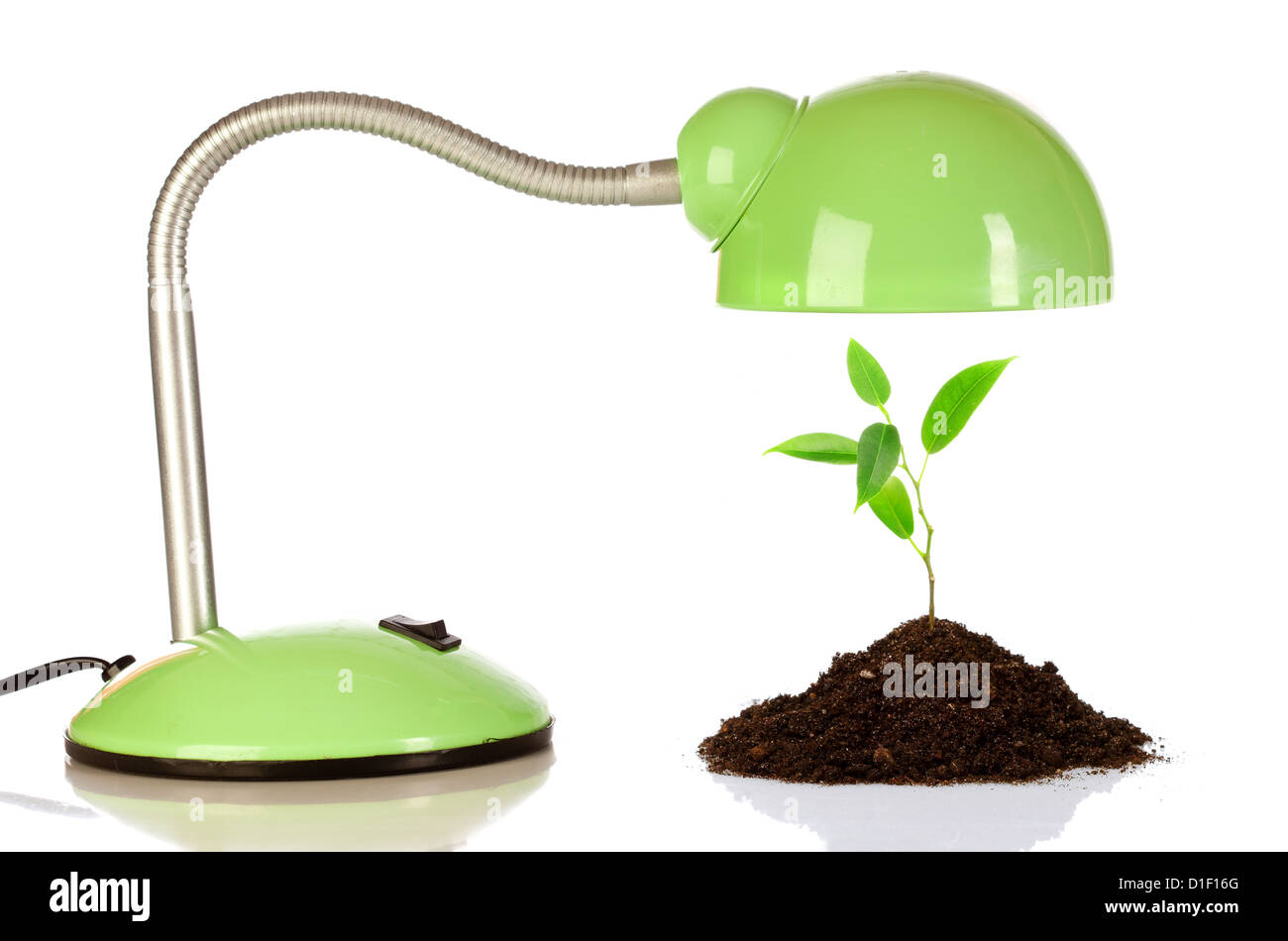 Young sprout and table lamp on a white background ... Stock Photo