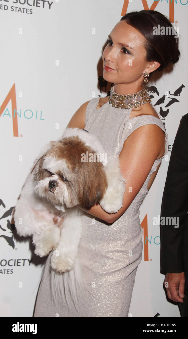 bloomberg dog hires stock photography and images Alamy