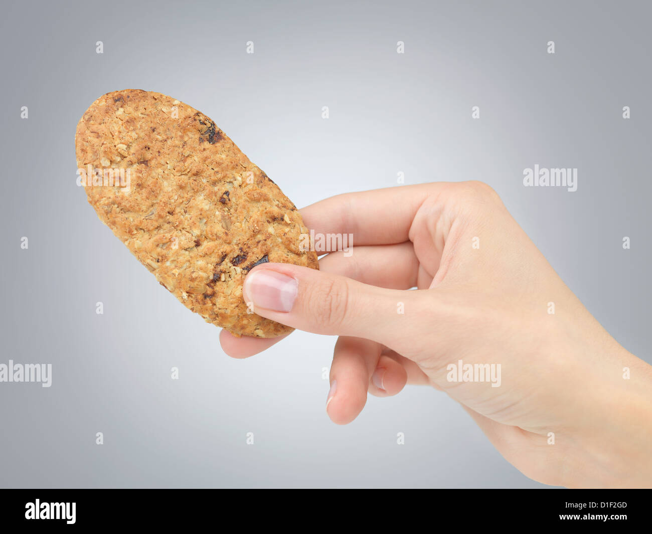 closeup of female hand holding a biscuit on grey gradient background