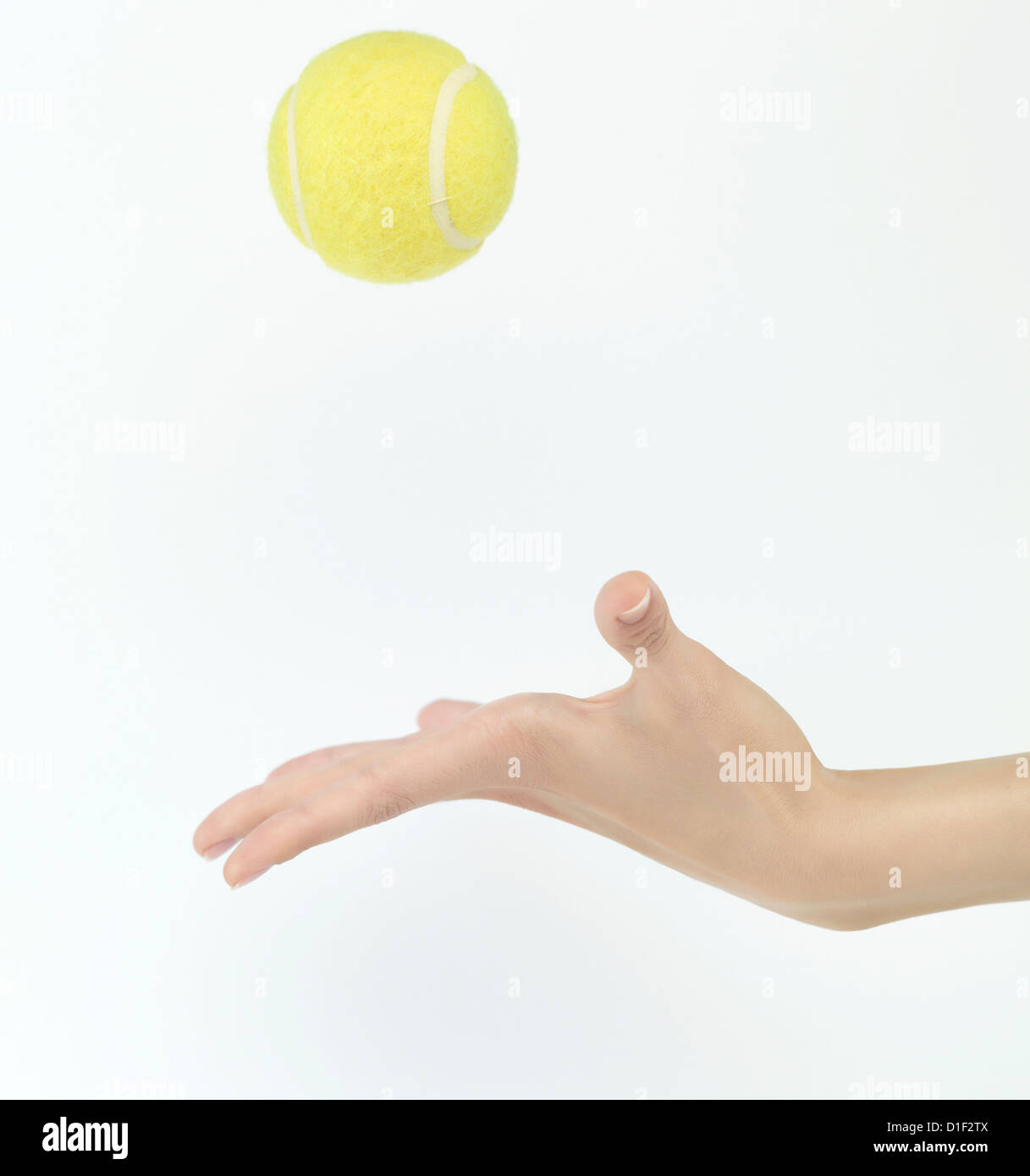 tennis ball thrown up in hand isolated on white background Stock Photo