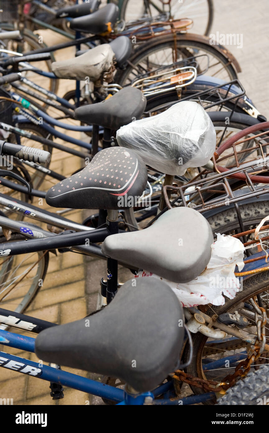 Multiple Bicycle seats Stock Photo Alamy