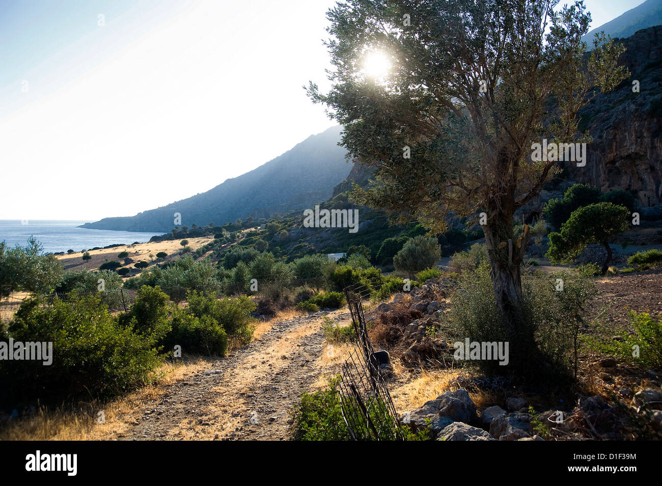 Coastal landscape, Crete, Greece Stock Photo