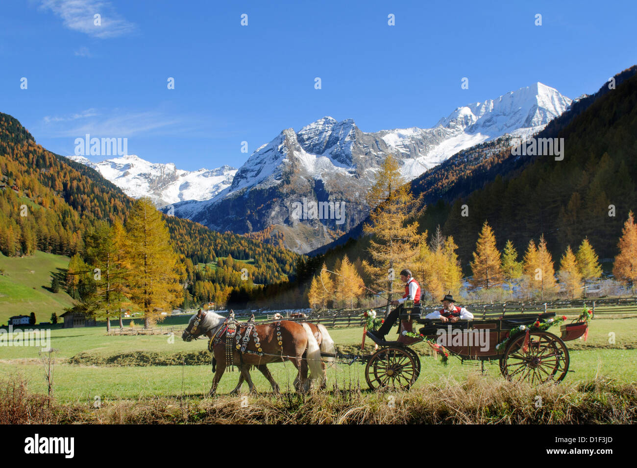 Carriage in the Rieserferner-Ahrn Nature Park, South Tyrol, Italy Stock Photo