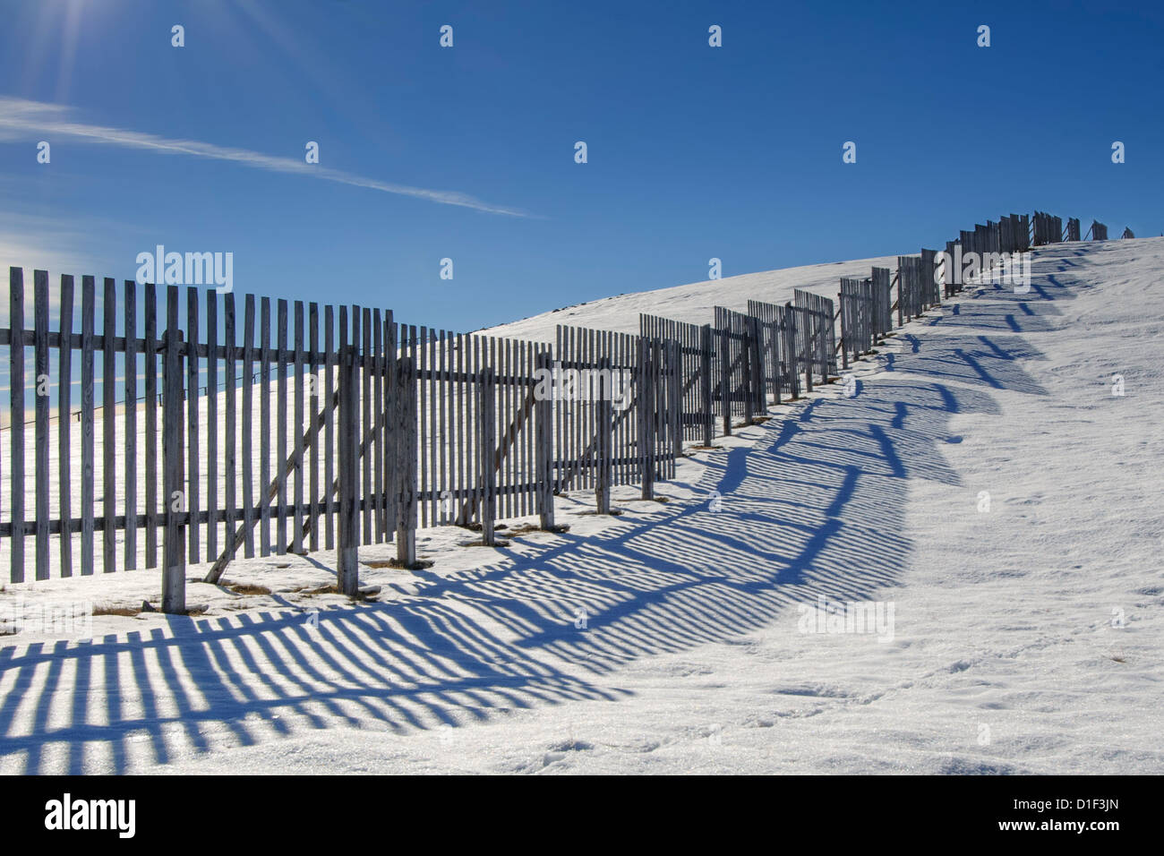 Fence as avalanche barrier, South Tyrol, Italy Stock Photo