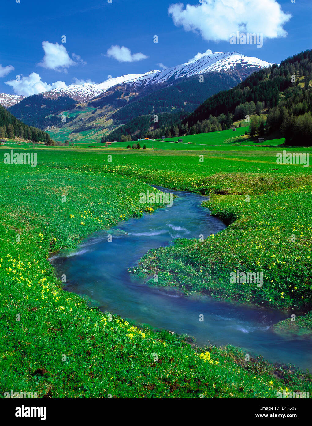 Brook crossing meadow, Nauders, Tyrol, Austria Stock Photo