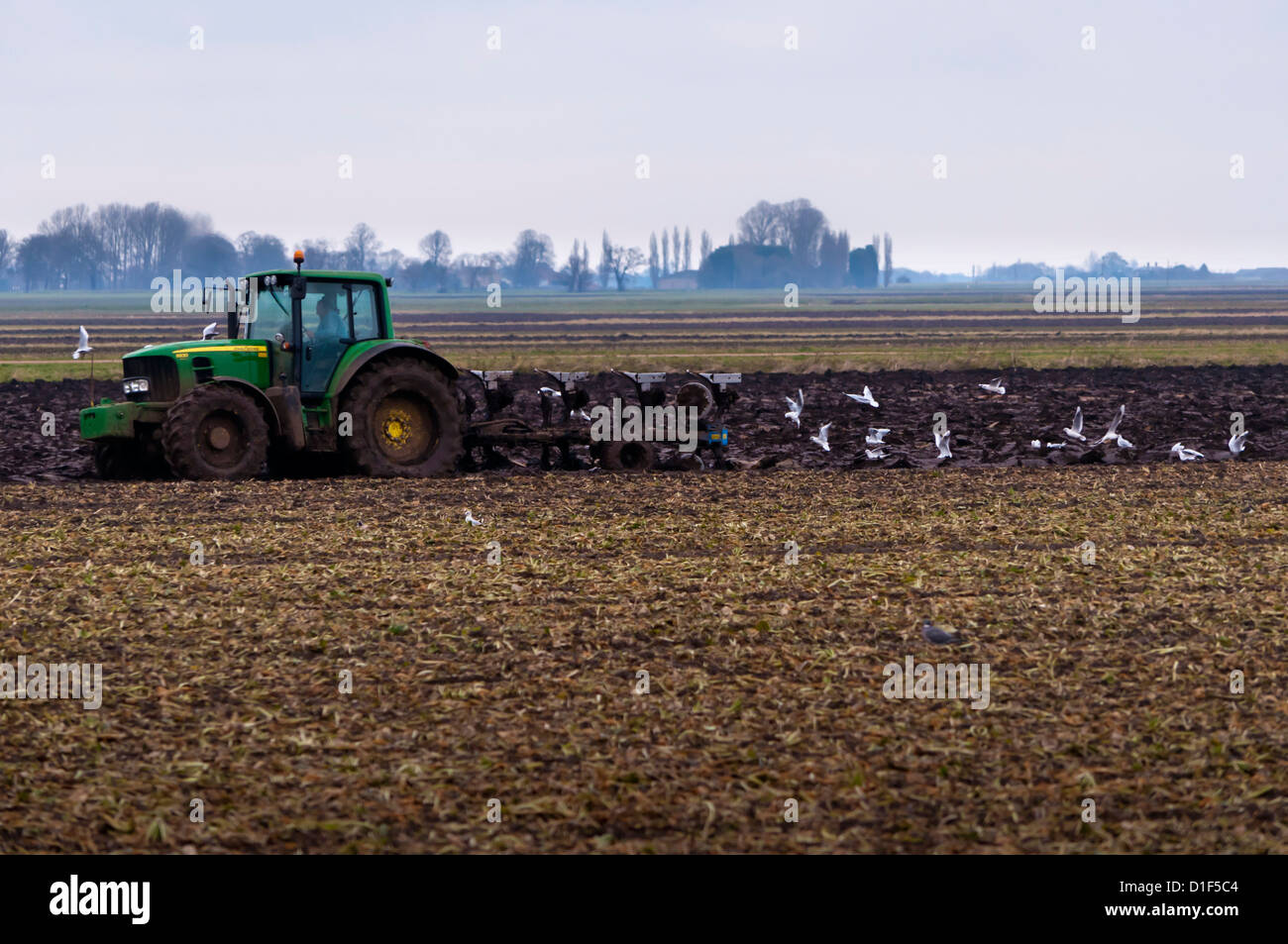 Fenland winter ploughing  Cambridgeshire fens Stock Photo