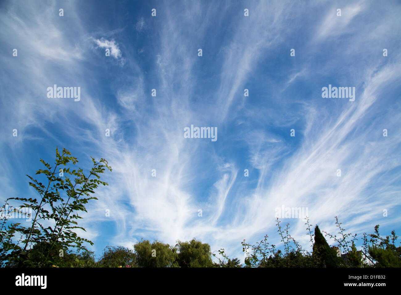 cirrus clouds also called mares tails indicate a deterioration of weather conditions derbyshire england stock photo alamy