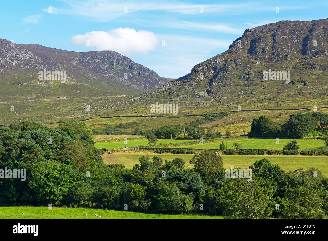 Slievenaglogh, Mourne Mountains, County Down, Ulster, Northern Ireland