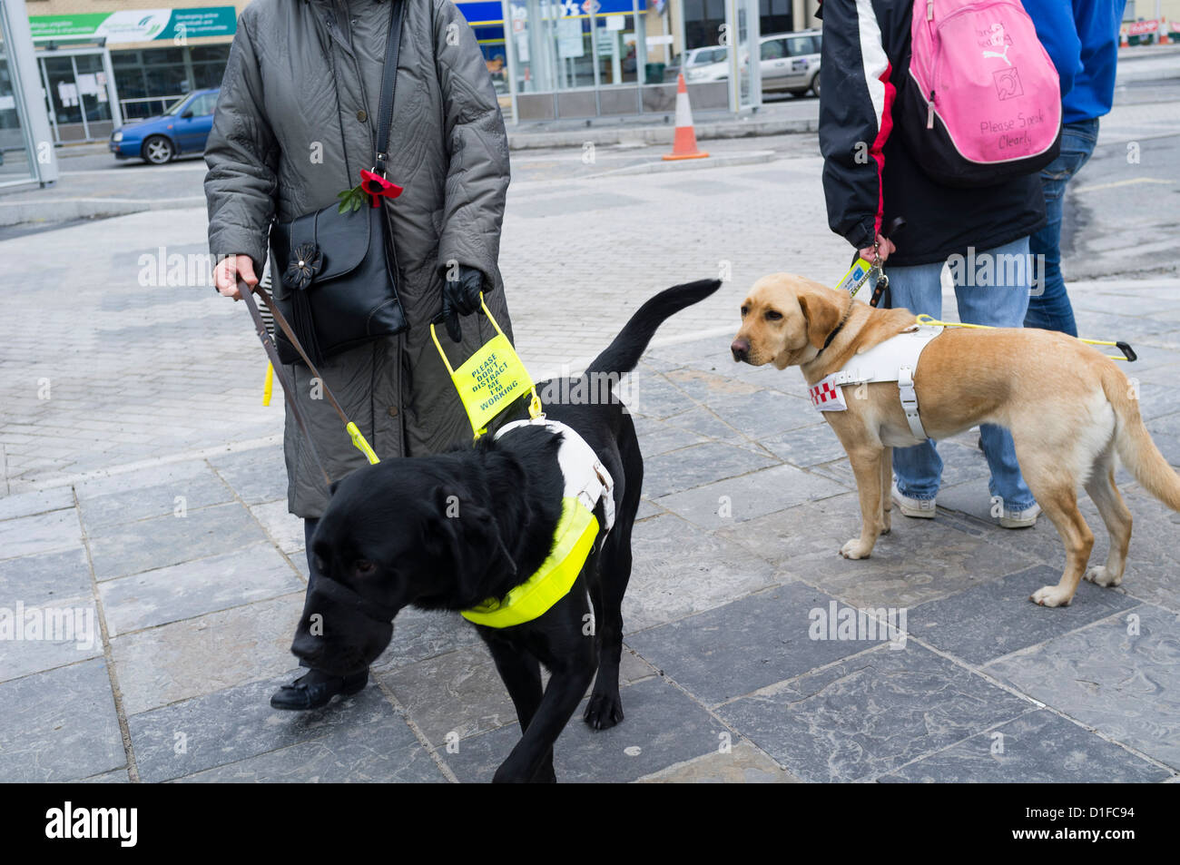 People assessing provision for blind and partially sighted at the new Aberystwyth bus terminal , wales UK Stock Photo