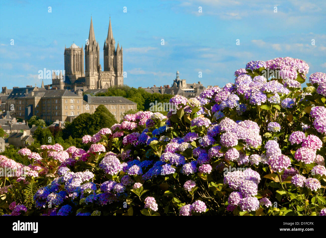 Panorama with hydrangeas and Notre Dame cathedral on the skyline of the town of Coutances, Cotentin, Normandy, France Stock Photo