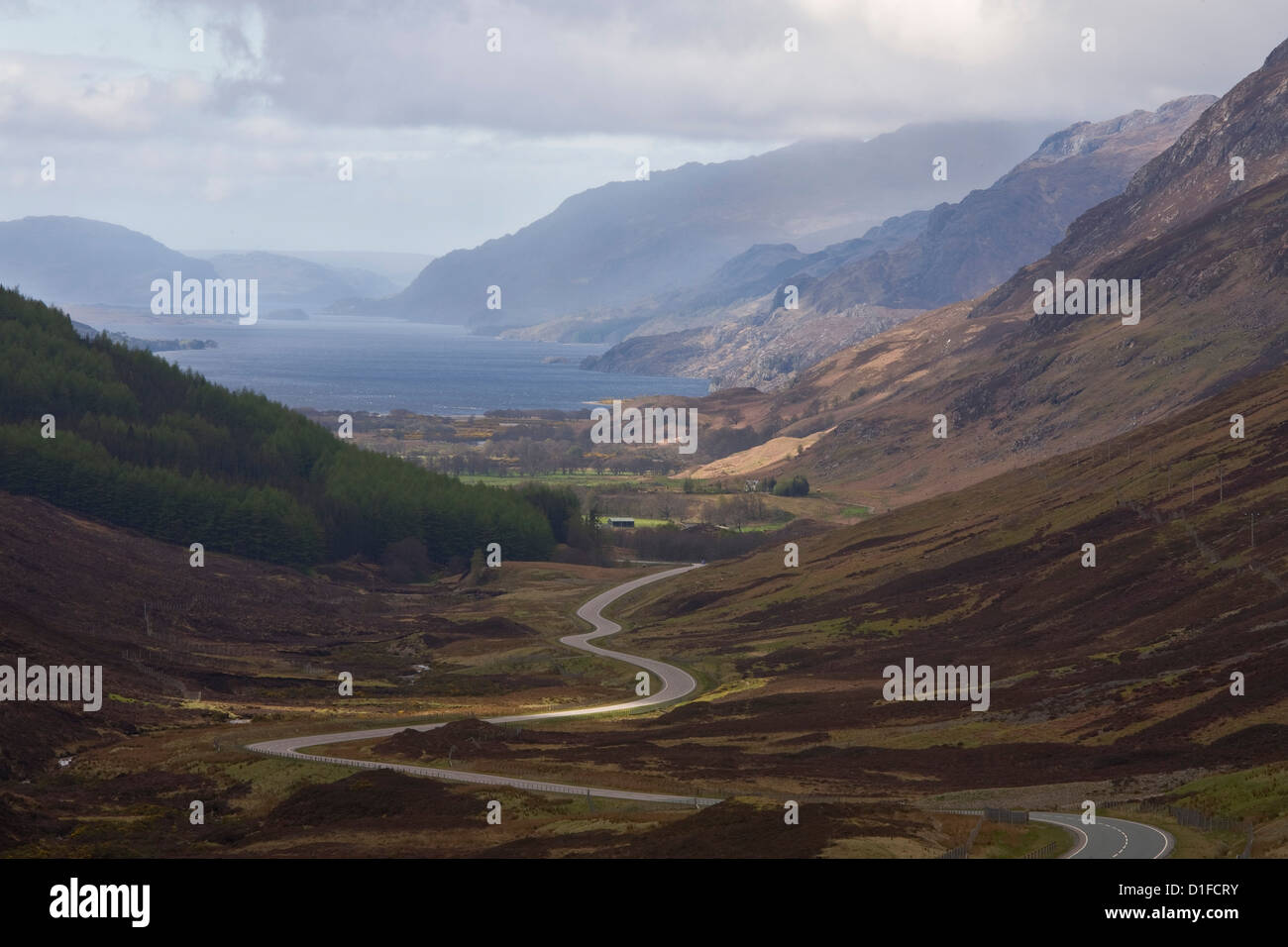Road through Glen Docherty, Wester Ross, Highlands, Scotland, United Kingdom, Europe Stock Photo