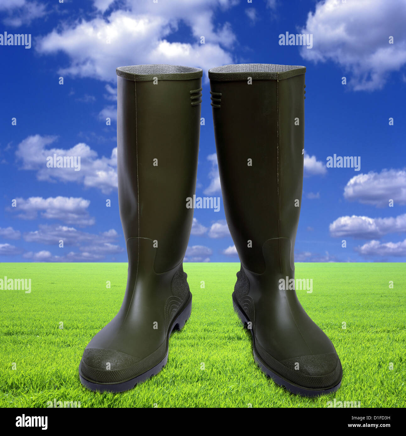 Wellington boots on grass with a sky background Stock Photo - Alamy