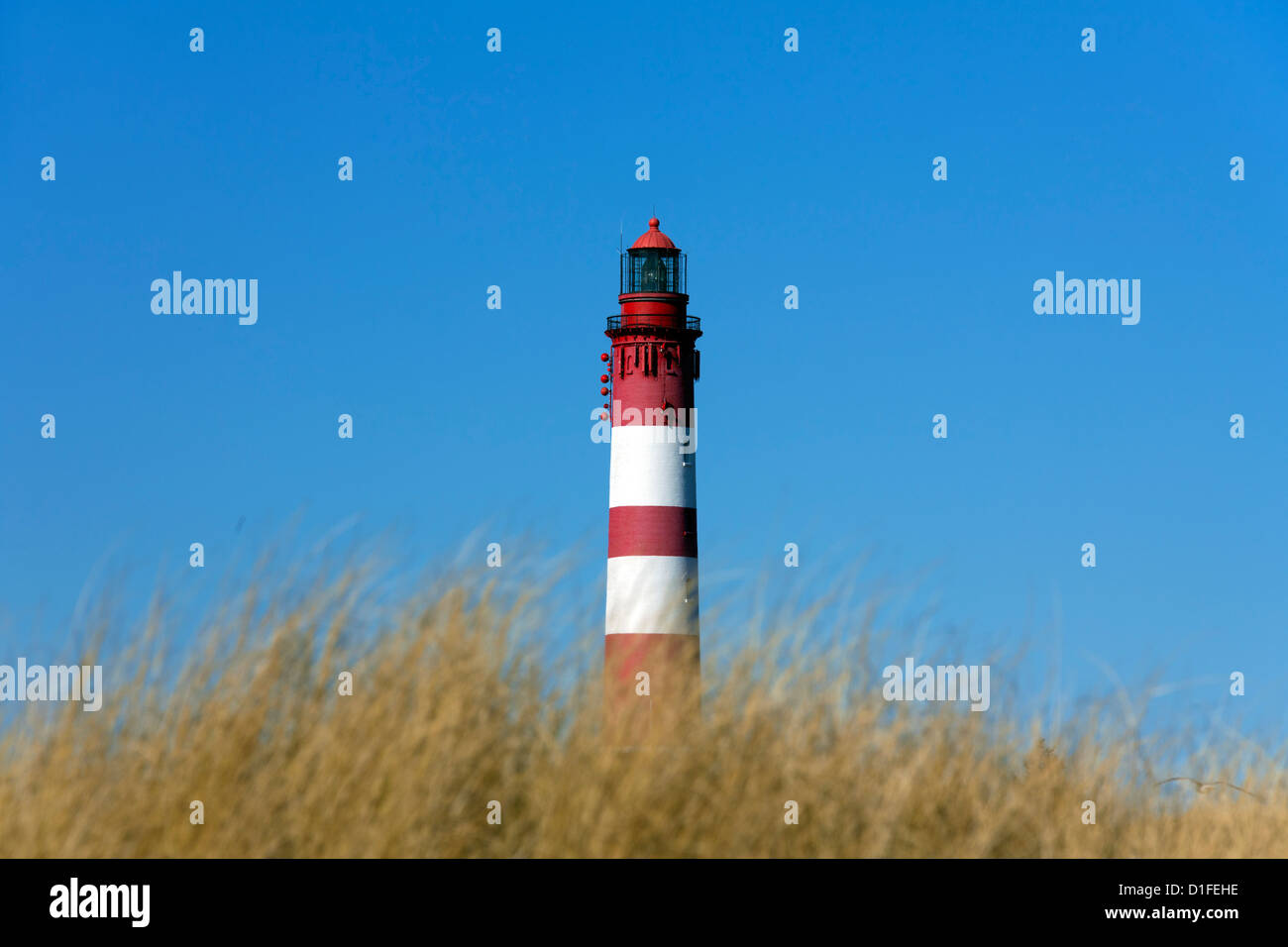 Amrum lighthouse in the dunes along the Wadden Sea, North Frisia, Schleswig-Holstein, Germany Stock Photo