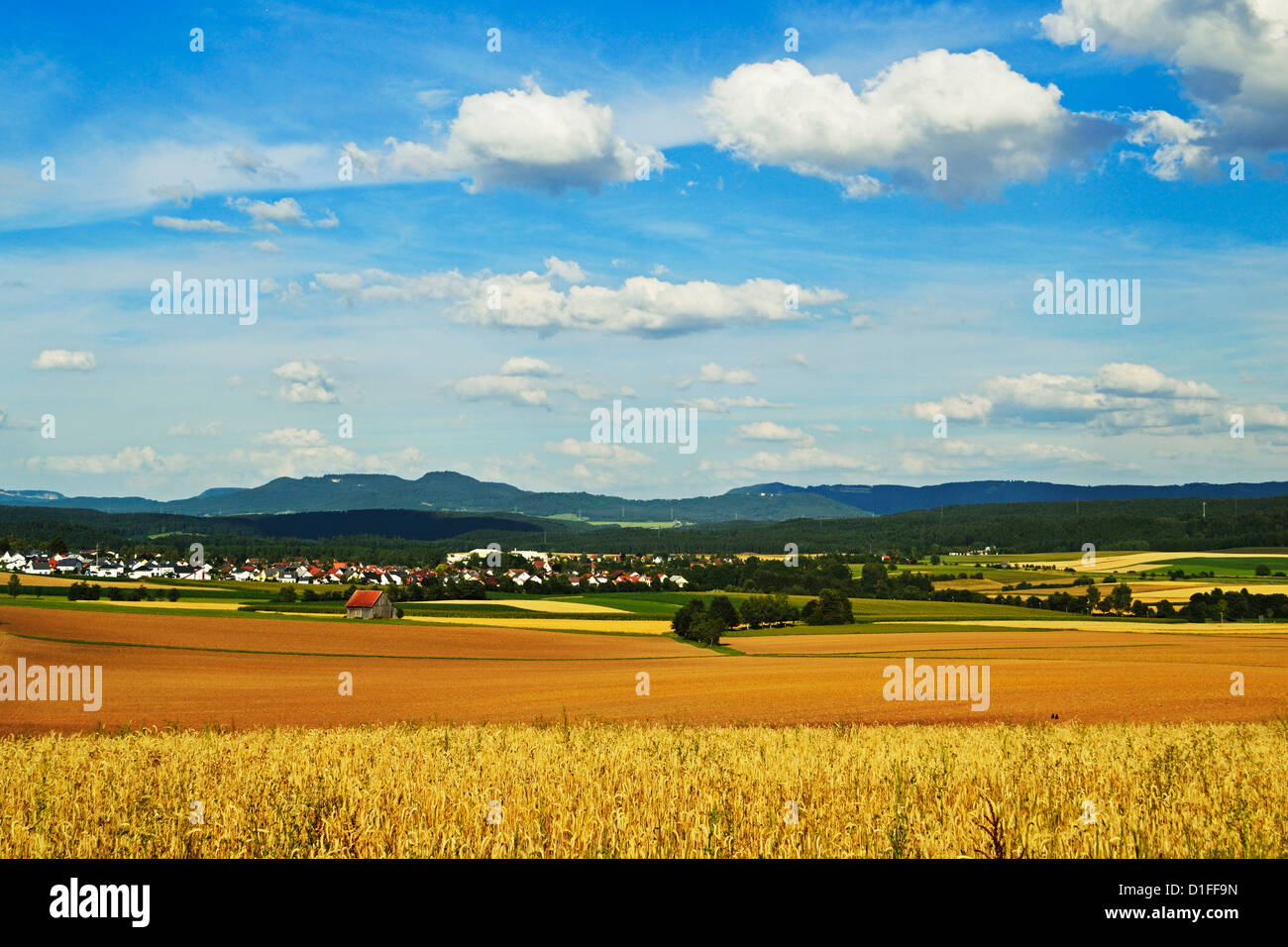 Rural scene, village of Lauffen, near Rottweil, Black Forest, Schwarzwald-Baar, Baden-Wurttemberg, Germany, Europe Stock Photo