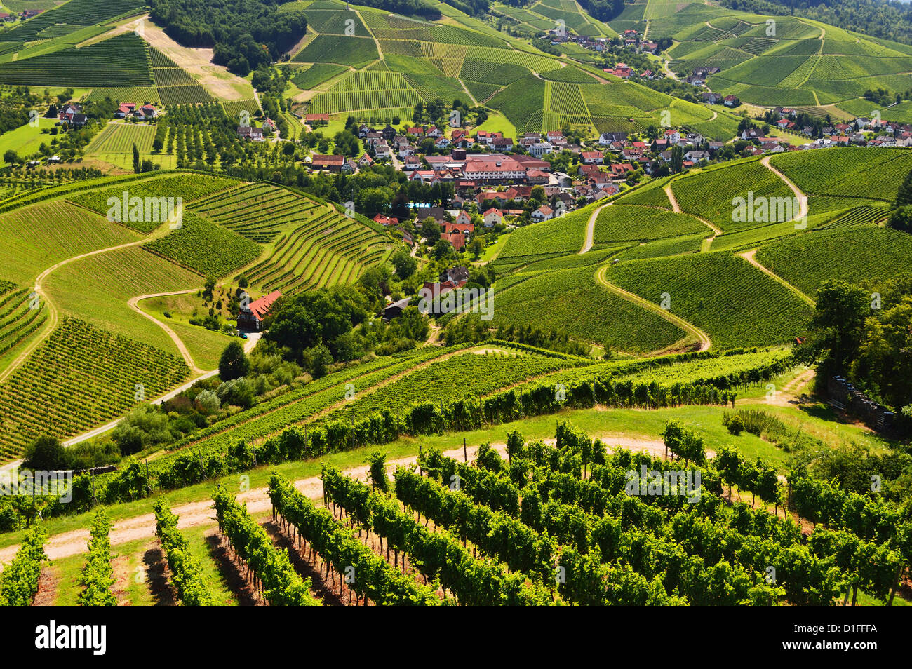 View of vineyards and Durbach village, Ortenau, Baden-Wurttemberg, Germany, Europe Stock Photo