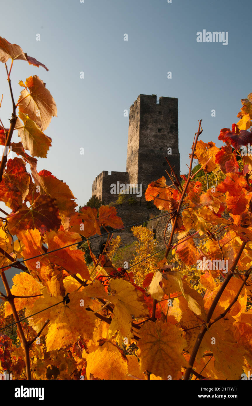 Rhine castle Burg Gutenfels with vineyards in autumn, Kaub, Germany Stock Photo