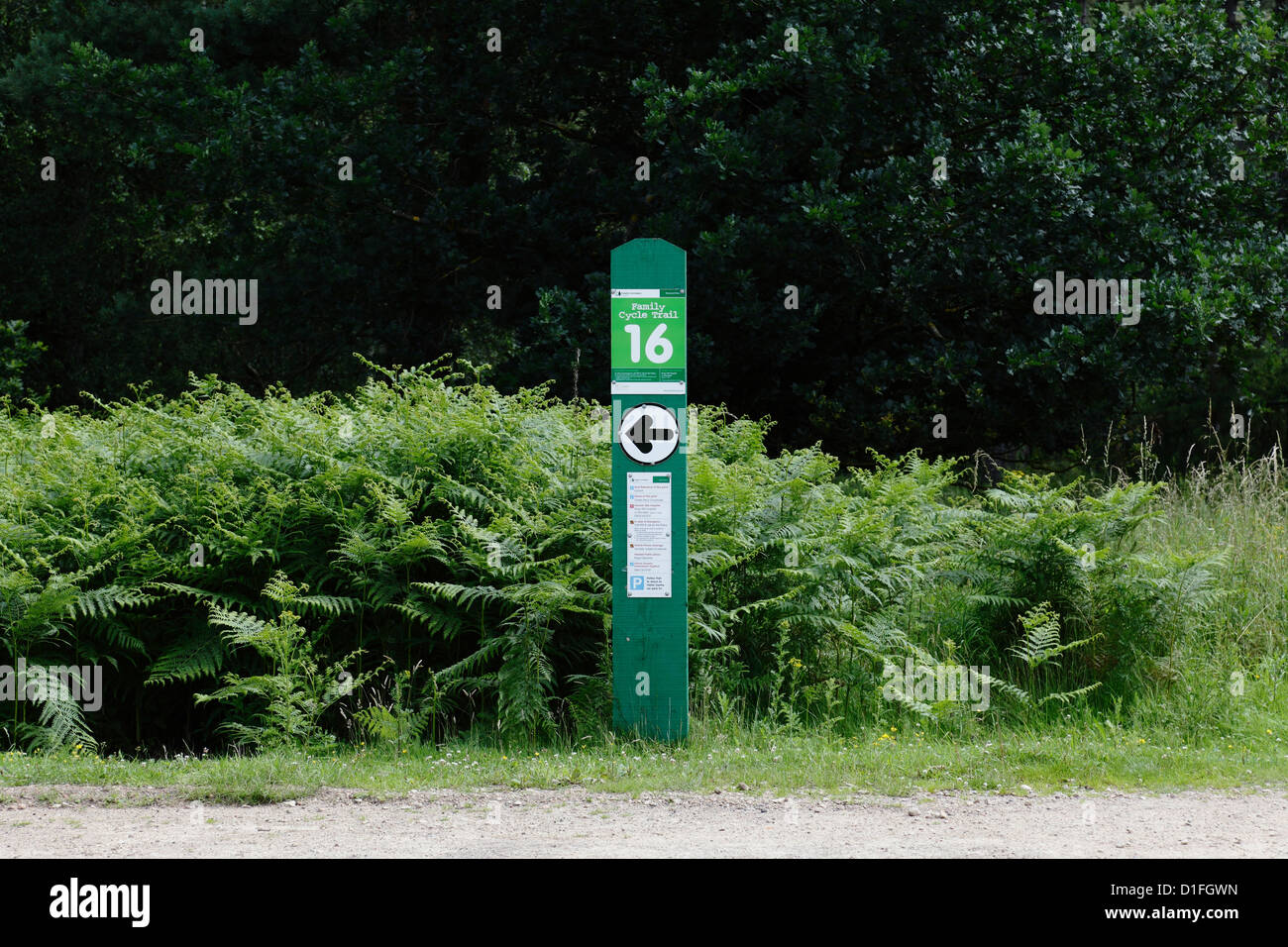 An information point and directions on a Cycle Trail, Sherwood Pines Forest Park, Nottingham, England, UK Stock Photo