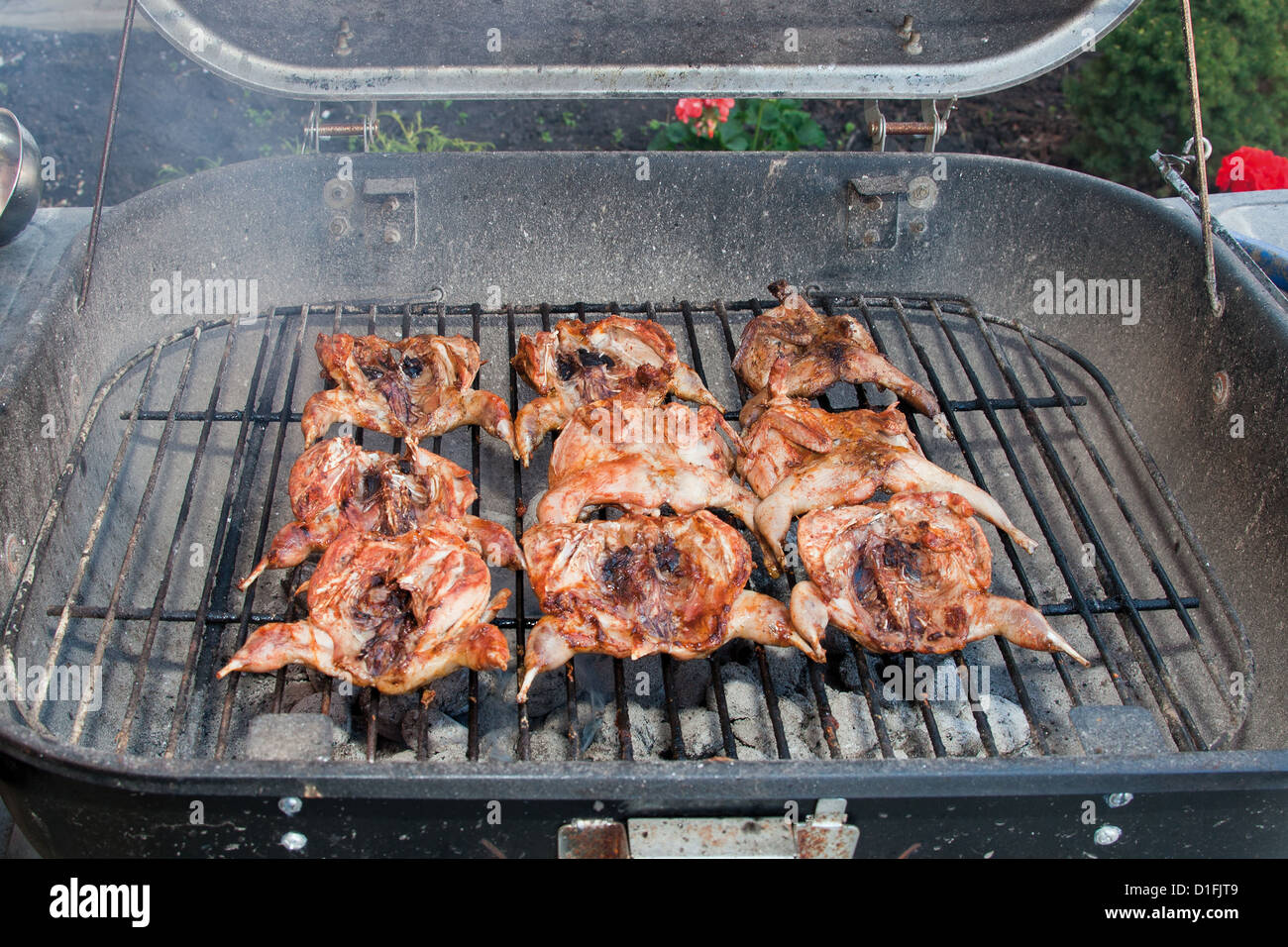 BBQ quails cooking on a grill in the garden Stock Photo