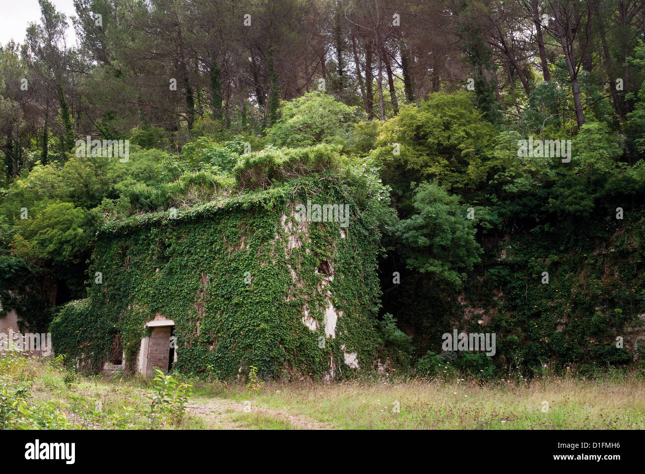 Abandoned residential house covered with green vegetation Stock Photo