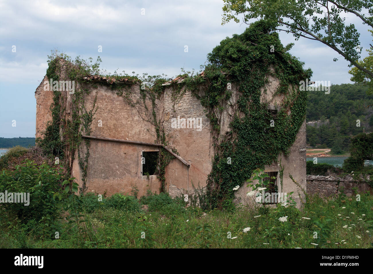 Abandoned residential house by sea harbor covered with green vegetation Stock Photo