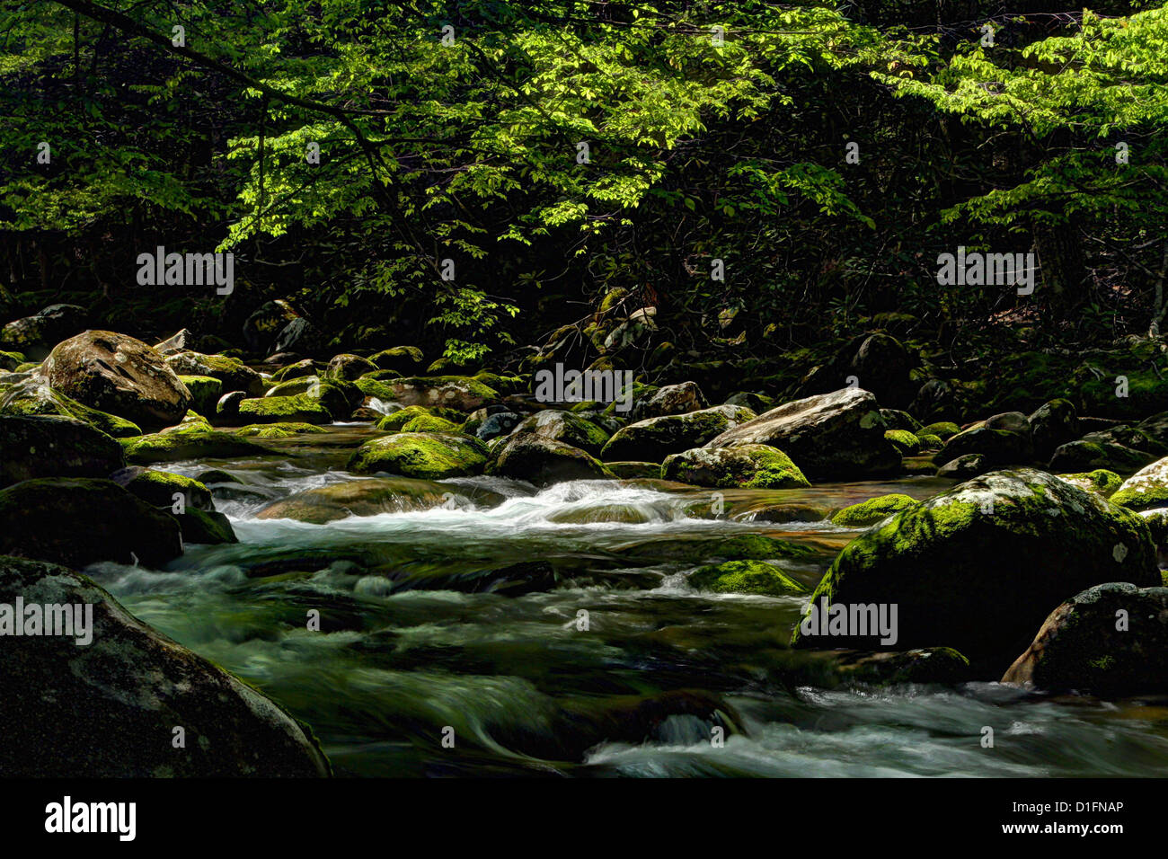 River Cascades with Green Moss. Stock Photo
