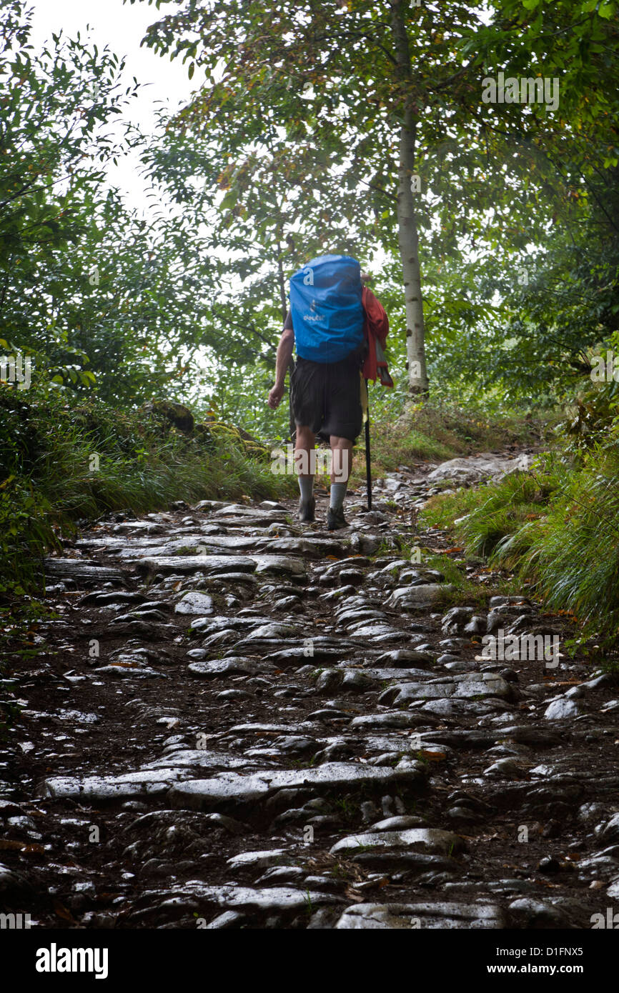 backpacker walking up the rocky path in a green forest, the foot path shiny from the rain, pilgrim on the Camino to Santiago Stock Photo