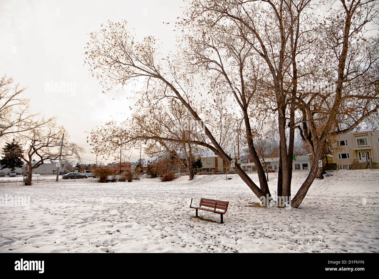 Calgary's Tuxedo park in the winter, footprints in the snow. Stock Photo