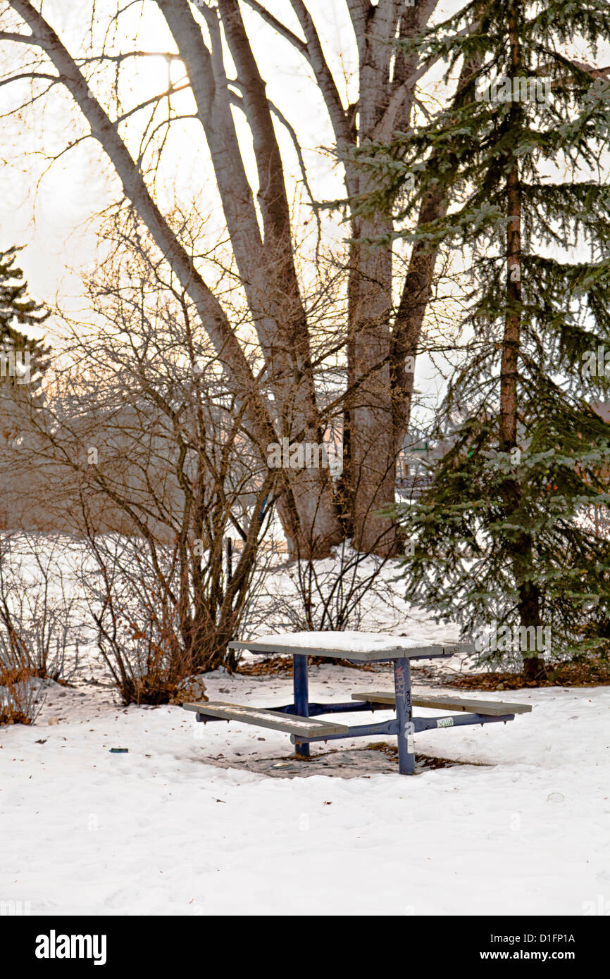 Calgary Tuxedo Park in the winter, and a quiet picnic bench, footprints in the snow showing that it gets the occasional visitor. Stock Photo