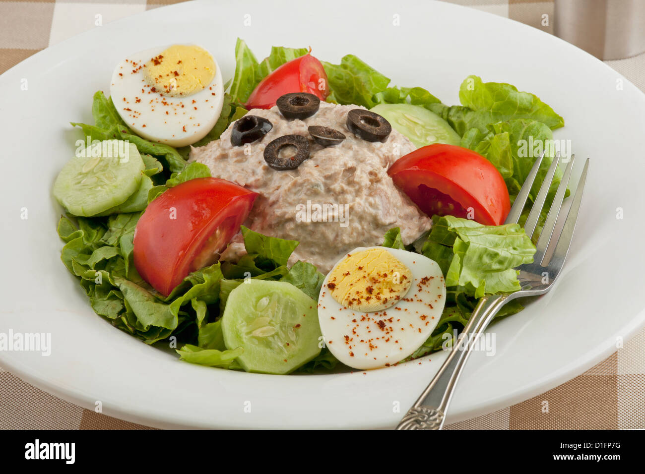 Tuna salad with vegetables and a hard boiled egg Stock Photo