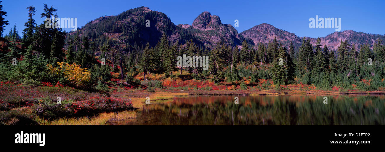Mount BakerSnoqualmie National Forest, Washington, USA 'Heather