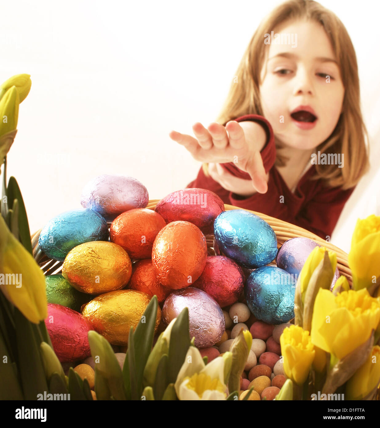 young girl reaching for coloured foil covered Easter eggs in basket surrounded by daffodils Stock Photo
