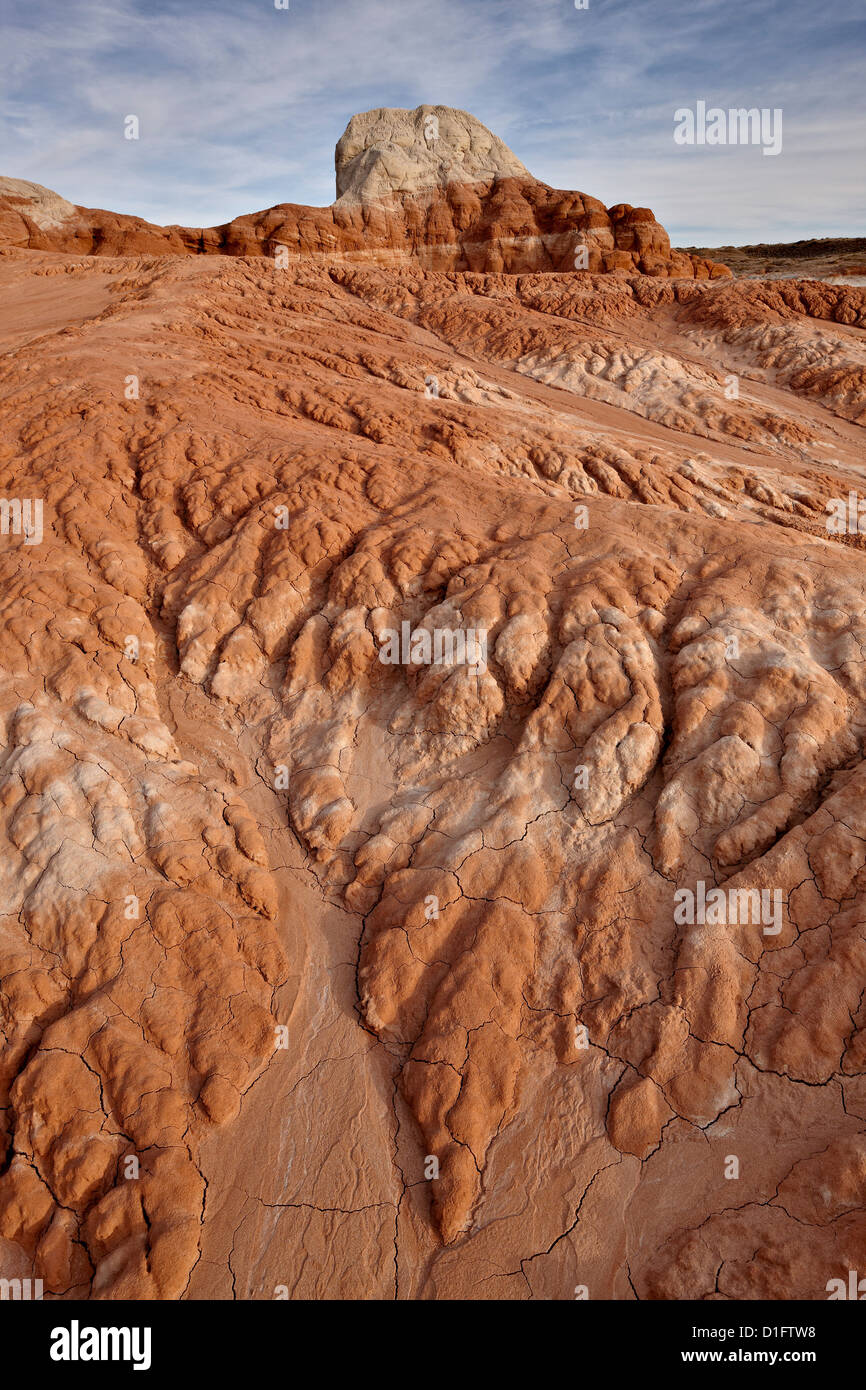 Erosion patterns in red-rock soil, Grand Staircase-Escalante National Monument, Utah, United States of America, North America Stock Photo